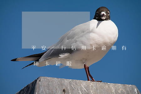 平安銀行信用卡逾期有幾天寬限(平安銀行信用卡 超限)