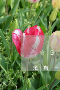 平安銀行信用卡逾期流程(平安銀行的信用卡逾期一天會有不良記錄嗎)