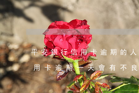 平安銀行信用卡逾期的人多嗎(平安銀行的信用卡逾期一天會有不良記錄嗎)
