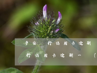 平安銀行信用卡逾期規(guī)定(平安銀行信用卡逾期一個(gè)月有什么后果)
