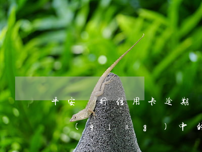 平安銀行信用卡逾期說核銷(平安銀行取消申請(qǐng)中的信用卡)