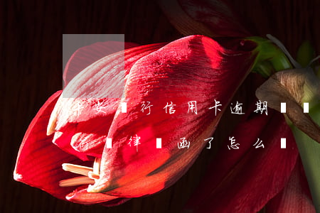 平安銀行信用卡逾期說給我發律師函(平安銀行發律師函了怎么辦)