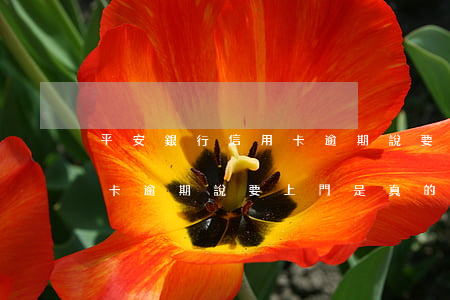 平安銀行信用卡逾期說要上門(平安銀行信用卡逾期說要上門是真的嗎)