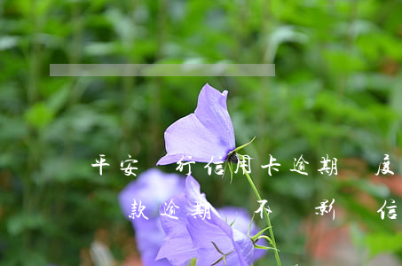 平安銀行信用卡逾期額度沒有了-平安銀行貸款逾期會不會影響信用卡額度