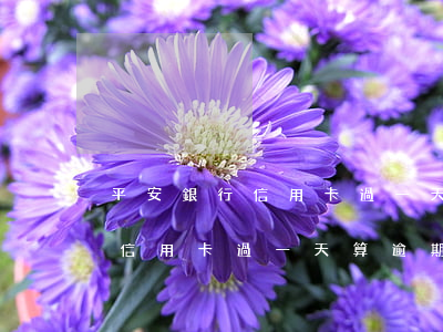 平安銀行信用卡過一天算逾期么-平安銀行信用卡過一天算逾期么還可以還最低嗎