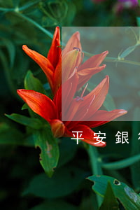 平安銀行個性化分期可以做減免嗎