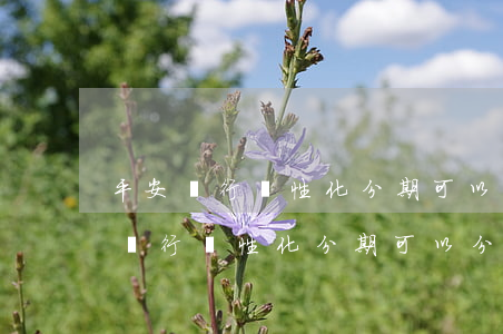 平安銀行個性化分期可以分24期嗎-平安銀行個性化分期可以分24期嗎