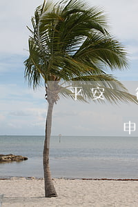平安銀行停息掛賬招商(21年平安銀行停息掛賬申請(qǐng)條件)