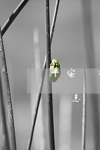 平安銀行卡逾期會怎樣處罰（平安銀行卡逾期會怎樣）