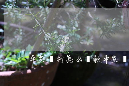 平安銀行怎么貸款(平安銀行怎么貸款5萬)