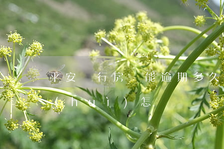 平安銀行房貸能逾期多久(平安貸逾期不還會(huì)怎樣)