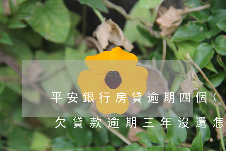 平安銀行房貸逾期四個(gè)月(平安銀行欠貸款逾期三年沒還怎么處理)