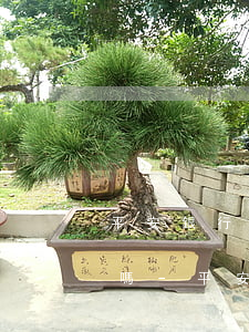 平安銀行抵押貸款可以協(xié)商還款嗎-平安銀行抵押貸款可以協(xié)商還款嗎