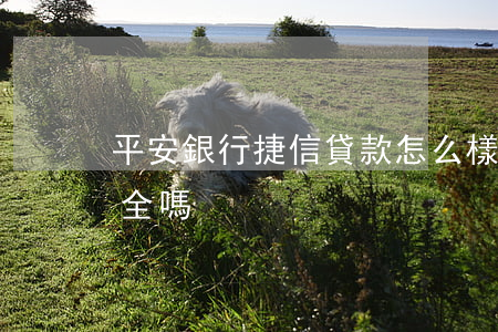 平安銀行捷信貸款怎么樣(捷信貸款怎么樣 安全嗎)