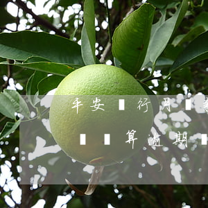 平安銀行月還款逾期(平安銀行還了最低還款額還算逾期嗎)