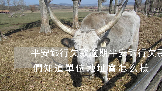 平安銀行欠款逾期(平安銀行欠款逾期不還,他們知道單位地址會怎么樣)