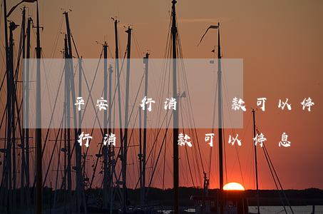 平安銀行消費貸款可以停息掛賬嗎-平安銀行消費貸款可以停息掛賬嗎