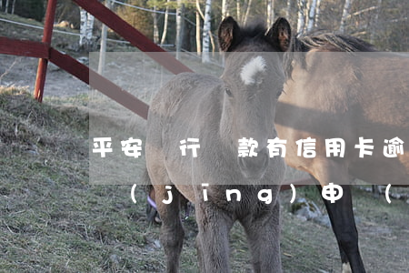 平安銀行貸款有信用卡逾期(平安銀行近期已經(jīng)申請(qǐng)信用卡)