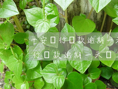 平安銀行貸款逾期一天會上征信嗎-平安銀行貸款逾期一天會上征信嗎_網頁搜索