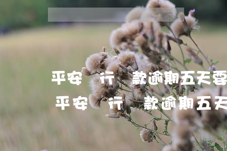 平安銀行貸款逾期五天要我還全款怎么辦-平安銀行貸款逾期五天要我還全款怎么辦呢