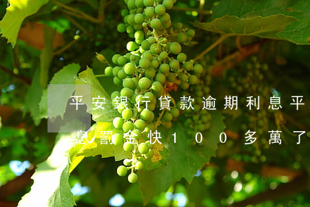 平安銀行貸款逾期利息(平安銀行貸款逾期利息罰金快100多萬了)