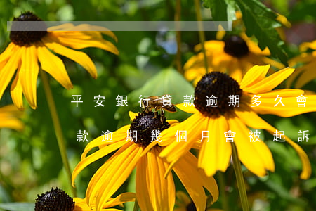 平安銀行貸款逾期多久會被起訴 平安銀行貸款逾期幾個月會被起訴?