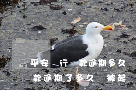 平安銀行貸款逾期多久會起訴(平安銀行的貸款逾期了多久會被起訴)