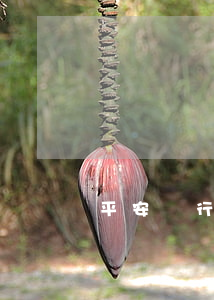 平安銀行貸款逾期多久被起訴