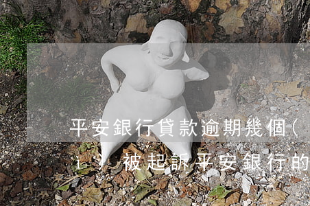 平安銀行貸款逾期幾個(gè)月會(huì)被起訴(平安銀行的貸款逾期了多久會(huì)被起訴)