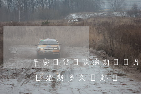 平安銀行貸款逾期幾個月會被起訴?（平安抵押貸逾期多久會起訴）