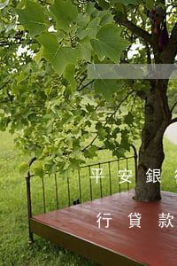 平安銀行貸款逾期會(huì)怎樣(平安銀行貸款逾期會(huì)不會(huì)影響信用卡額度)