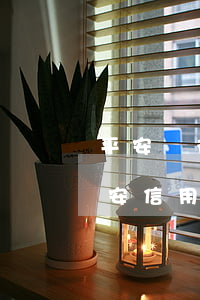 平安銀行貸款逾期會不會影響信用卡額度（平安信用卡逾期會被凍結(jié)嗎）