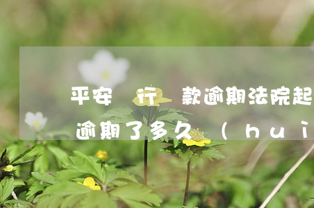 平安銀行貸款逾期法院起訴(平安銀行的貸款逾期了多久會(huì)被起訴)