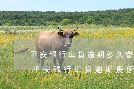 平安銀行車貸逾期多久會(huì)起訴-平安銀行車貸逾期幾個(gè)小時(shí)