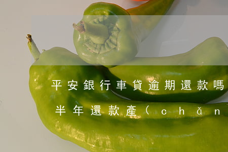 平安銀行車貸逾期還款嗎(平安銀行車貸逾期半年還款產(chǎn)生多少費用)