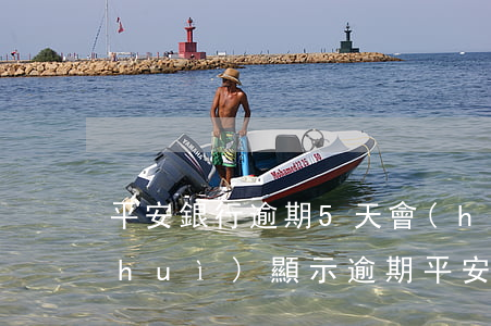 平安銀行逾期5天會(huì)上征信會(huì)顯示逾期（平安銀行信用卡逾期上面會(huì)多久）