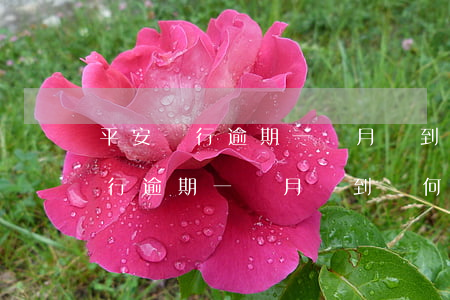 平安銀行逾期一個月沒到為何猛催-平安銀行逾期一個月沒到為何猛催還款