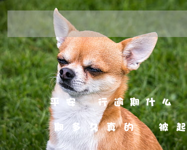 平安銀行逾期什么時候訴訟 平安銀行貸款逾期多久真的會被起訴嗎?