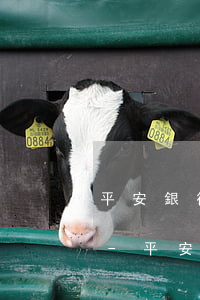 平安銀行逾期協(xié)商需要什么資料-平安銀行逾期協(xié)商需要什么資料和手續(xù)