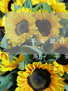 平安銀行逾期怎么跟銀行協(xié)商上海-平安銀行逾期怎么跟銀行協(xié)商上海銀行