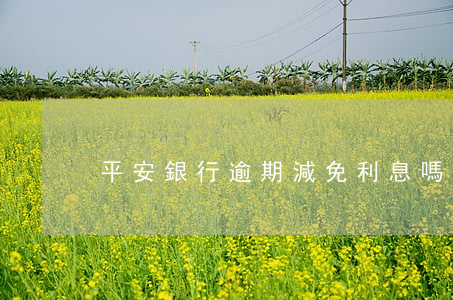 平安銀行逾期減免利息嗎