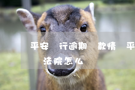 平安銀行逾期貸款情況(平安銀行貸款逾期起訴法院怎么辦?)