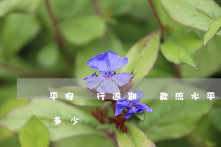 平安銀行逾期還款流水(平安銀行逾期利息是多少)