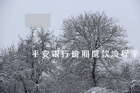 平安銀行逾期還款流程(平安銀行還款期限)