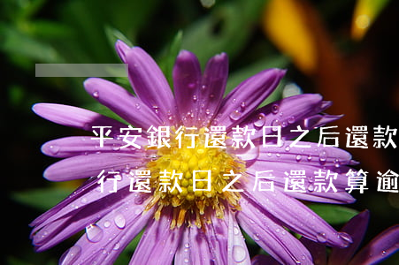平安銀行還款日之后還款算逾期嗎-平安銀行還款日之后還款算逾期嗎怎么辦
