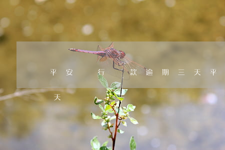 平安銀行還款逾期三天(平安銀行還款逾期三天)