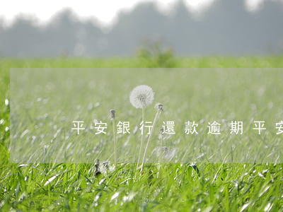 平安銀行還款逾期(平安銀行到期還款延遲)