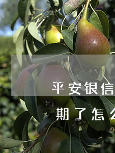 平安银信用卡借款逾期(平安银行信用贷款逾期了怎么办又没钱还)