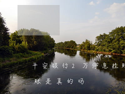 平安银行2万停息挂账(平安银行2万停息挂账是真的吗)