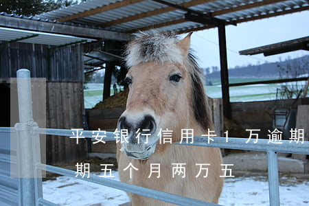 平安银行信用卡1万逾期两年（平安信用卡逾期五个月两万五）